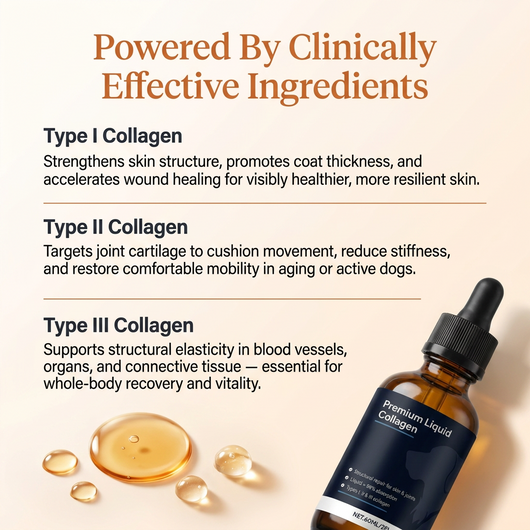 Renuvio-Luxury Liquid Collagen For Dogs